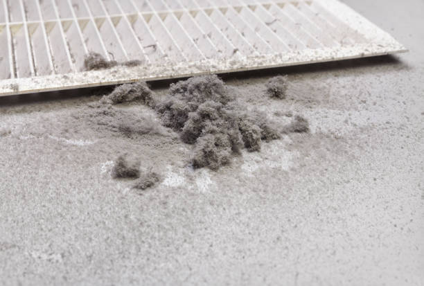 Best Professional Duct Cleaning Services  in Rio Grande, OH